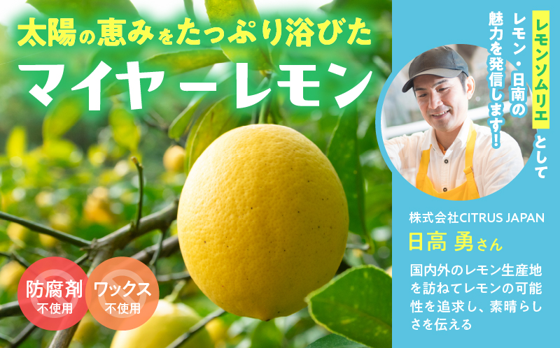 日南レモン シロップ レモン 果汁 オリジナル 2本 セット 合計600ml 果物 フルーツ くだもの れもん 柑橘 ジュース 飲料 国産 食品 オリジナル ブレンド 無添加 保存料不使用 お土産 ギ
