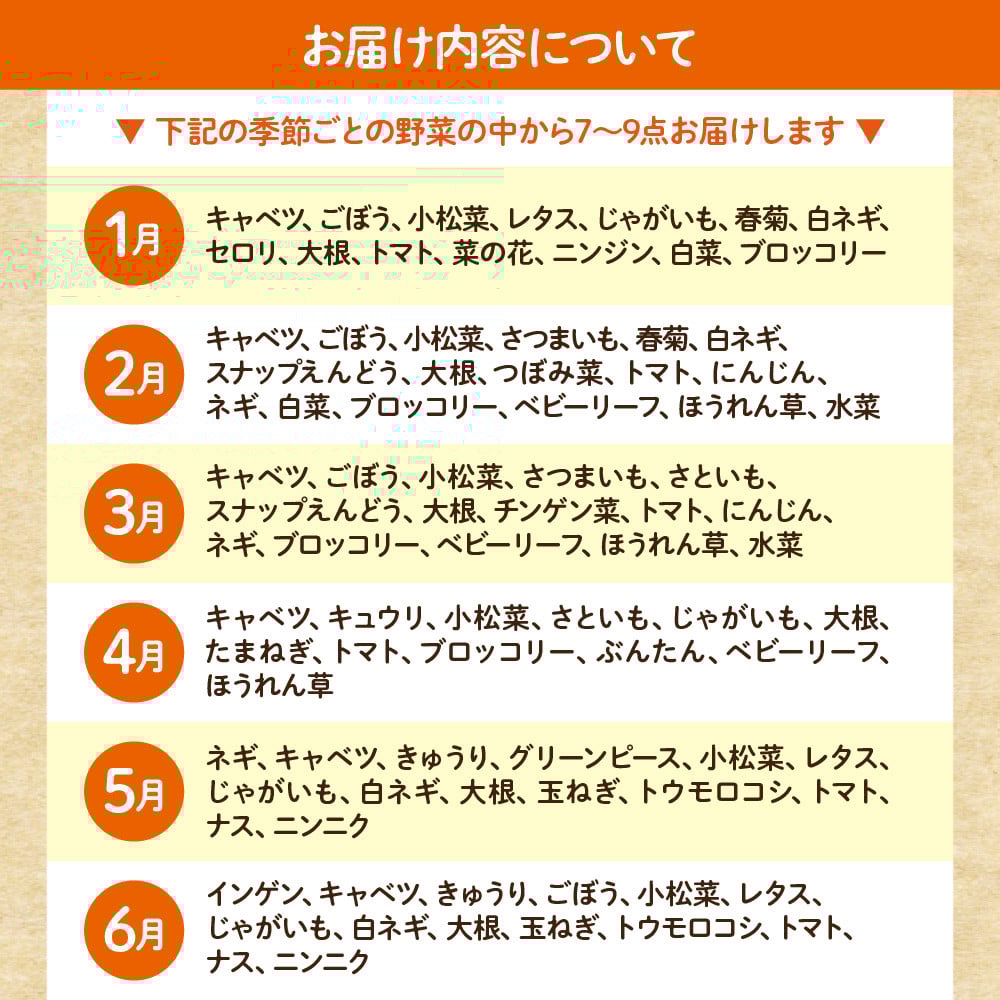 【毎月お届け】むなかた旬のお任せセット（野菜）7～9品