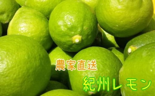 
            農家直送 紀州 レモン 約2kg【MS94】
          