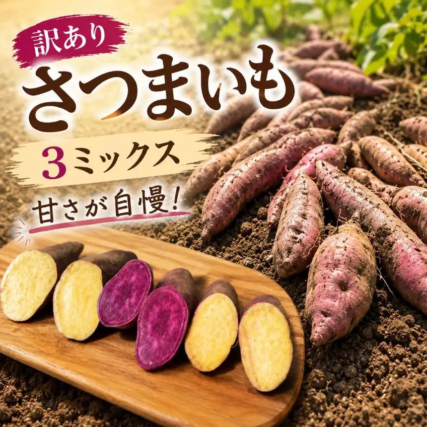 訳あり！さつまいも 3種ミックス【2026年10月下旬～12月中旬発送】｜八ヶ岳 純ちゃんファーム