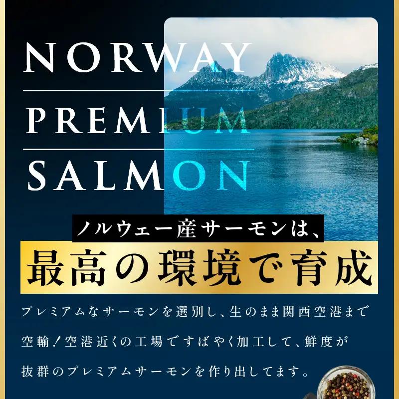 極上サーモン 1kg サーモン ふるなび限定 FN-Limited-PR