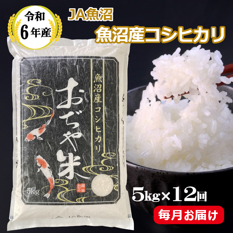 JA162P430 令和6年産魚沼産コシヒカリ定期便 5kg×12回（毎月お届け）（12か月連続お届け）（JA魚沼）白米 魚沼 米 定期便