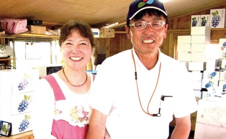 村松農園 シャインマスカット2～3房 約1kg シャインマスカットシャインマスカットシャインマスカットシャインマスカットシャインマスカット