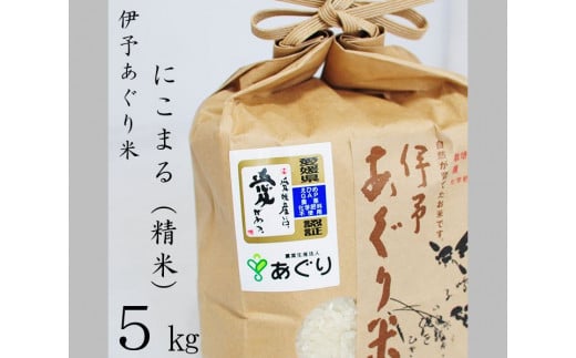 
★令和５年産をお届けします！！★農薬・化学肥料不使用　伊予あぐり米「にこまる」（精米５ｋｇ）
