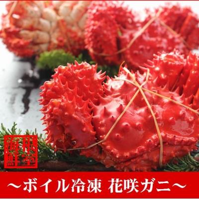 ふるさと納税 根室市 【北海道根室産】花咲ガニ450〜600g×2尾 A-57038