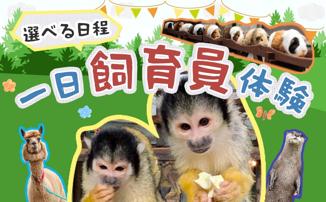 
            市川市動植物園　飼育員体験チケット（12月21日または1月18日または2月15日または3月1日実施）　【11203-0372】
          