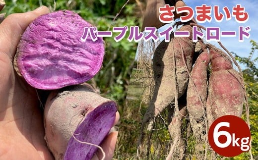 
            【期間限定】自然栽培 紫芋 さつまいも 6kg パープルスイートロード 京都 亀岡産 かたもとオーガニックファームよりお届け《サツマイモ 野菜 産地直送 国産 スイーツ》 ※離島への配送不可
          