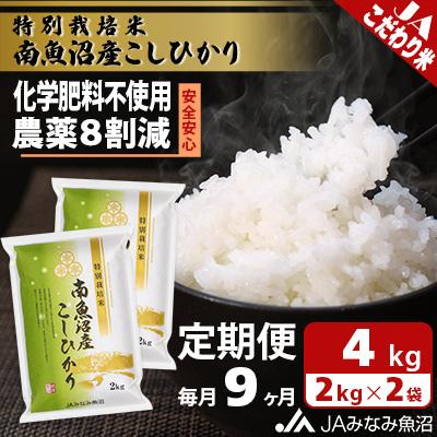 ふるさと納税 南魚沼市 【毎月定期便】特別栽培米南魚沼産こしひかり8割減 精米 4kg(2kg×2)全9回