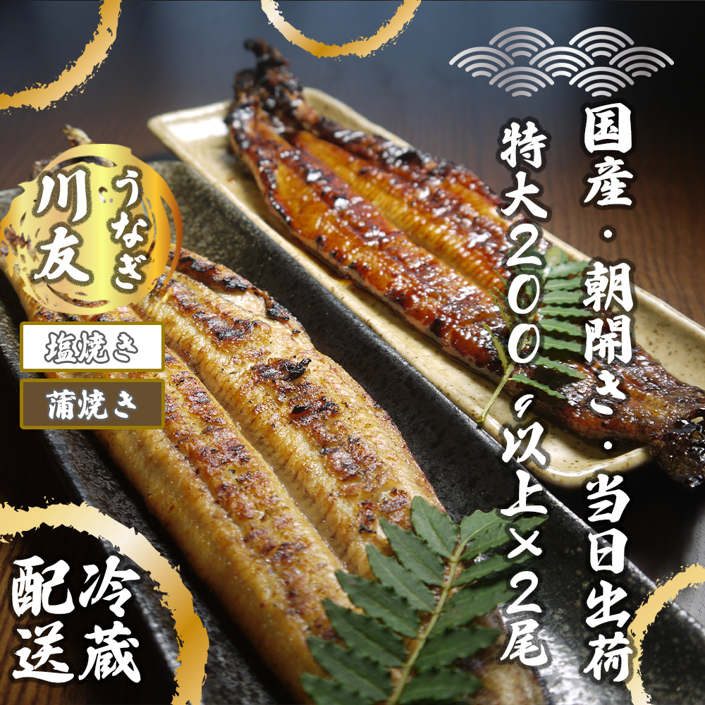 AK004_【冷蔵発送】朝開き国産うなぎ 当日発送２尾（1尾あたり約200～230ｇ） 蒲焼き・ 塩焼き 国産鰻 ウナギ