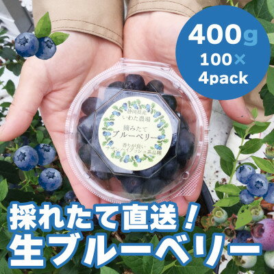 【ふるさと納税】【令和7年5月 順次発送】完熟ブルーベリー生果実・400g　静岡県磐田市産【配送不可地域：離島】【1444671】