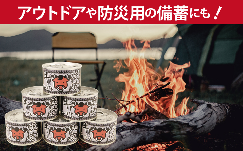 牛焼肉ハラミ缶詰 6缶セット【厚切り 牛ハラミ サガリ おかず おつまみ 防災 備蓄 非常食】 010B1815_イメージ3