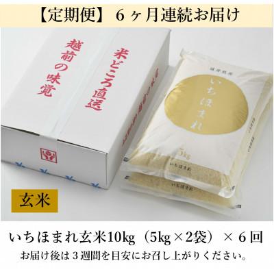 ふるさと納税 あわら市 【毎月定期便】いちほまれ 玄米 5kg×2袋(計10kg)全6回 |  | 03