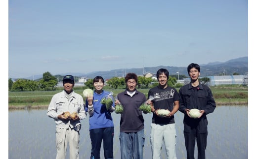 『定期便 全12回』無農薬生姜200gと旬の野菜の詰め合わせ【土佐野菜】【セット 新鮮 野菜 毎月  人気 おすすめ 高知県 南国市】