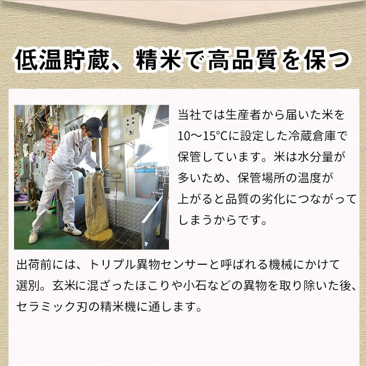 【9月より新米】【定期便】米 京都丹波米こしひかり5kg×8回 計40kg◇◆◇ 定期便 8回定期便 米 白米 5kg 8ヶ月 ※精米したてをお届け ｜ 米・食味鑑定士厳選 コシヒカリ 京都丹波産