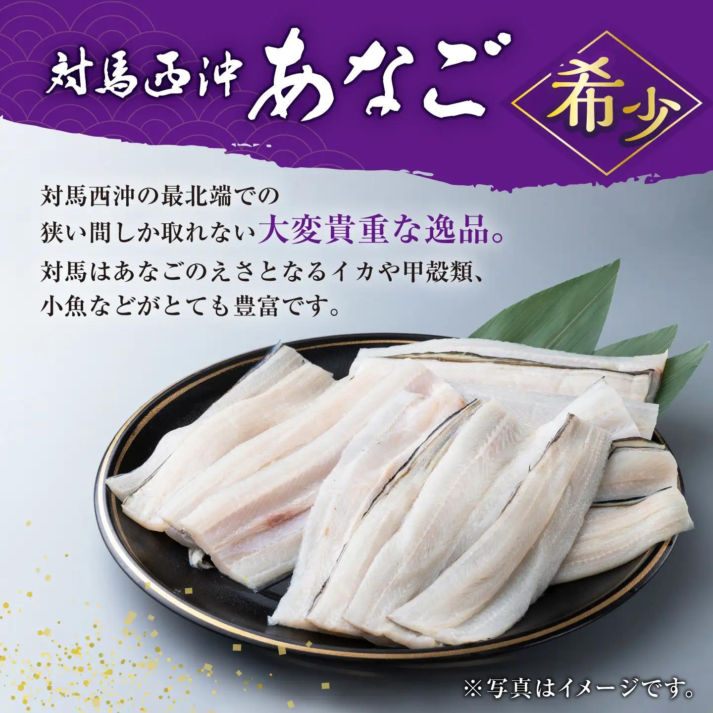 【1週間以内発送】対馬産 西沖あなご 200g×3パック [WAA005] アナゴ 白焼き 穴子 あなご スピード発送 最速発送 最短発送