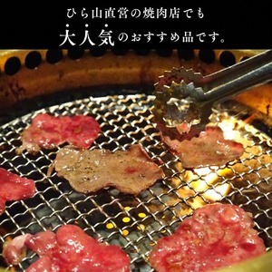 牛タン 薄切り牛タン 1.2kg （300g×4）ねぎ塩 牛タン 塩だれ 訳あり