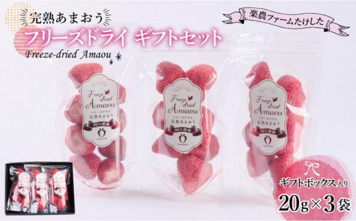 
            形も味もそのまま楽しめる！完熟あまおう【フリーズドライギフトセット】 (20g×3袋)【あまおう 食品 あまおう フルーツ あまおう 果物 苺くだもの いちご 食品 イチゴ 人気 あまおう おすすめ 送料無料 福岡県 大川市 AA046】
          