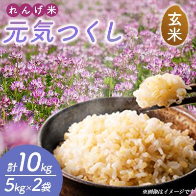 ふるさと納税 嘉麻市 【令和7年産】れんげ米 元気つくし(玄米) 計10kg(5kg×2袋)〜はたなかFarm〜