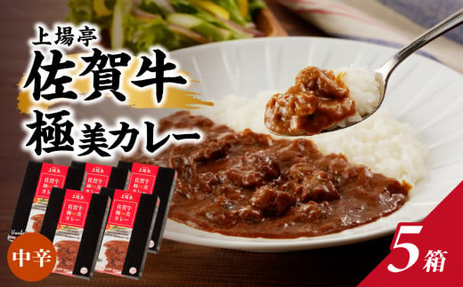 佐賀牛極美カレー（中辛）【200ｇ×5箱】