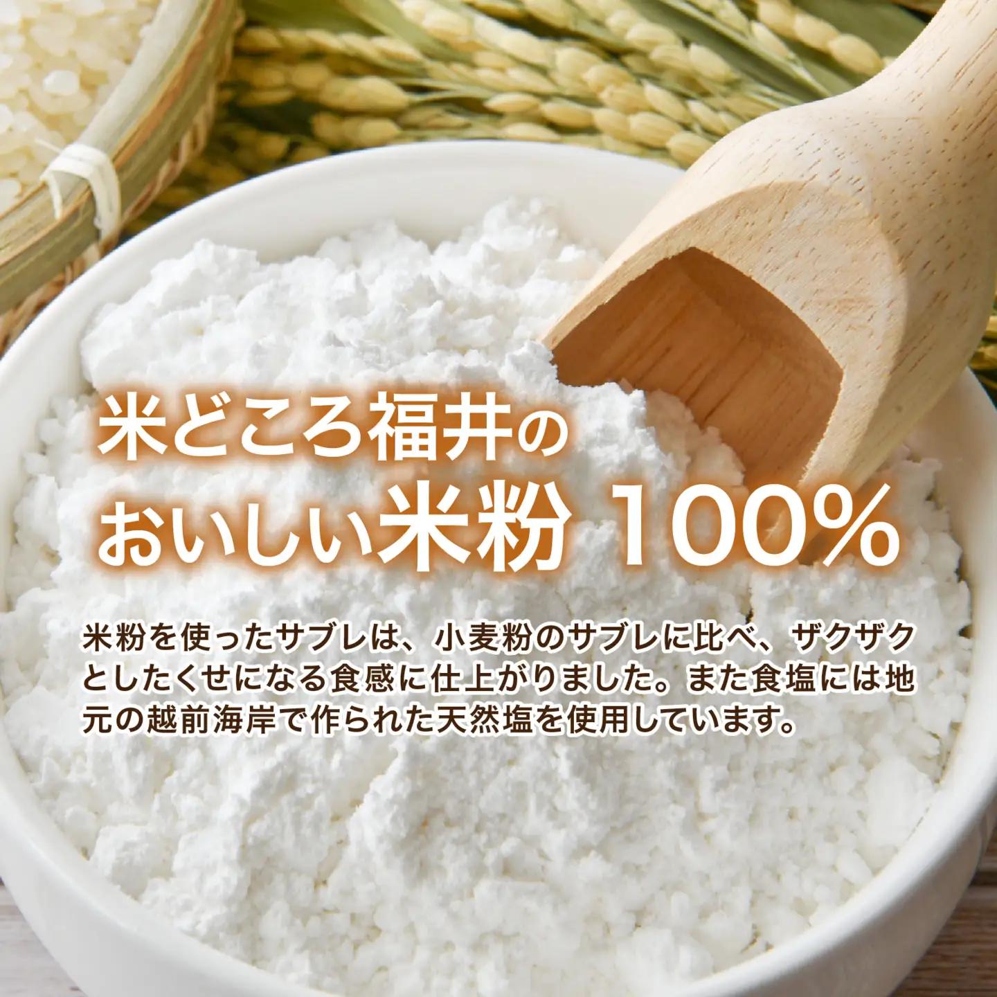 恐竜サブレ缶（大）1缶【ふるさと納税限定デザイン恐竜サブレ缶(ティラノ)】 [A-135007] / サブレ 恐竜 缶 米粉 米粉クッキー お菓子 クッキー おかし 菓子 焼き菓子 焼菓子 クッキー缶