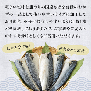 国産 塩さば フィーレ 約160～200g 5枚 サバフィレ 鯖 サバ さば フィレ 切り身 塩サバ 特大 バラ凍結 冷凍 魚 魚介