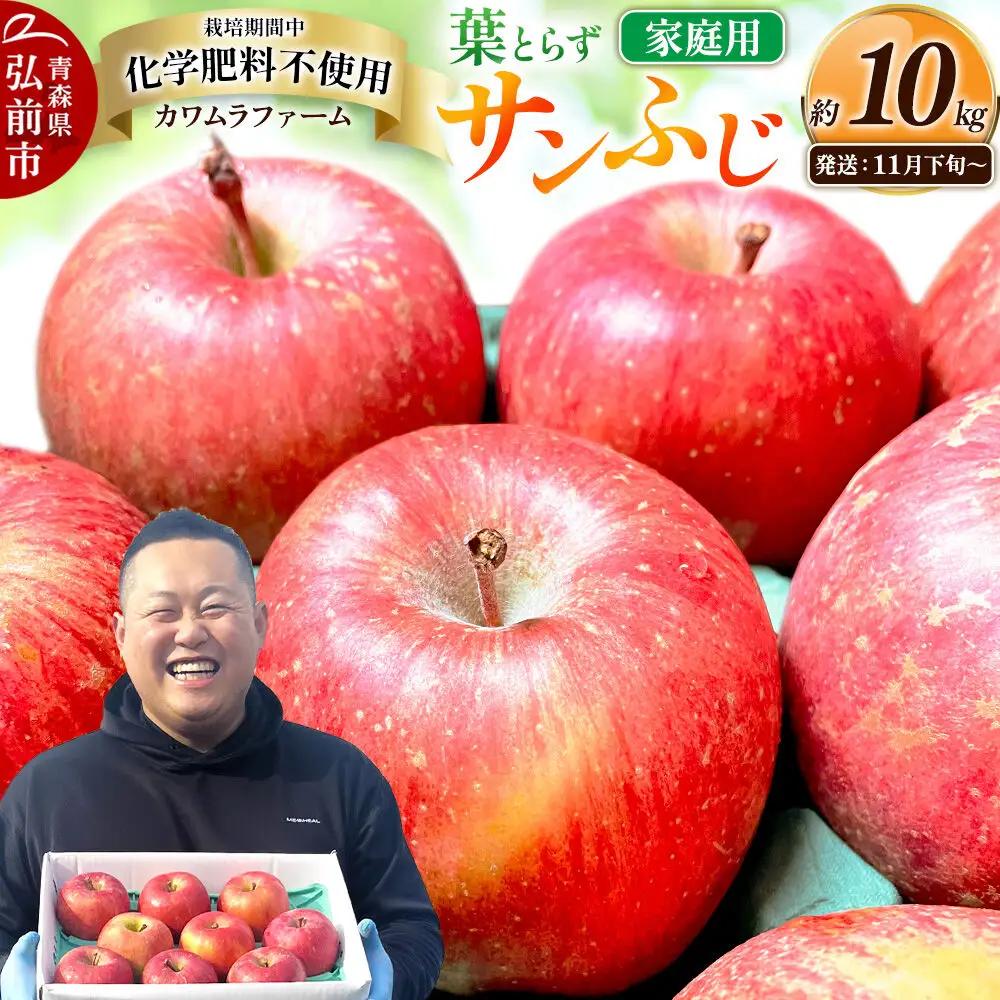 りんご 葉とらず サンふじ 家庭用 約10kg【11月下旬～発送】りんご