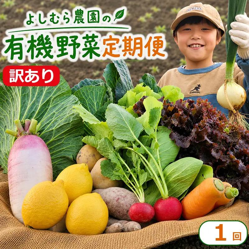 野菜セット 訳あり 有機野菜 