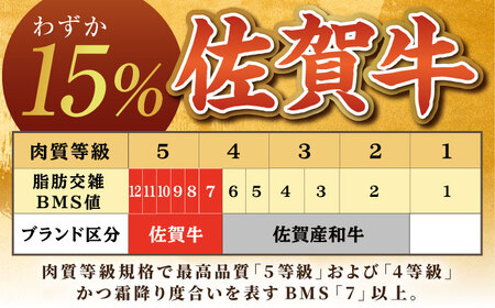 【肉の旨味を凝縮！】 佐賀牛 赤身 サイコロステーキ 400g 【がばいフーズ】A5ランク 佐賀牛[HCS123]