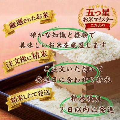 ふるさと納税 江北町 令和7年産『夢しずく』白米10kg【5kg×2袋】五つ星お米マイスター厳選! |  | 01