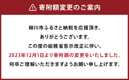 上質な座り心地と天然木の温かな空間を演出する ソファ / ウォールナット材 または オーク材 【HIRASHIMA LIBERIA PLUS Chaise Longue 2set クルニス】 受注生産