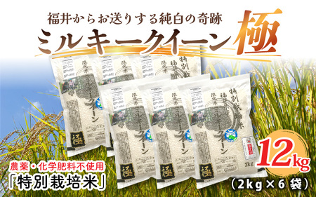 【先行予約】【令和6年産・新米】（白米）お米の女王！農薬・化学肥料不使用 特別栽培米 ミルキークイーン極12kg (2kg × 6袋)【2024年10月中旬以降順次発送予定】 [D-2917_01]