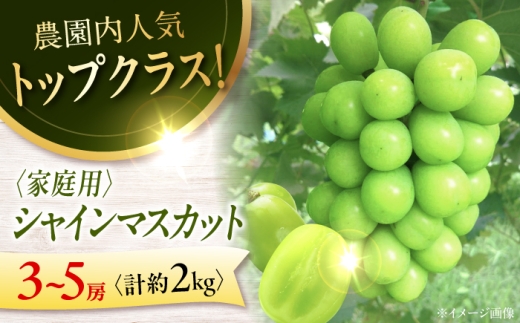 【先行予約】 家庭用 シャインマスカット 2kg (3から5房) ＜9月中旬頃から順次発送＞ ぶどう ブドウ 葡萄 マスカット フルーツ 三次市 / 芝床農園 [APCK007]