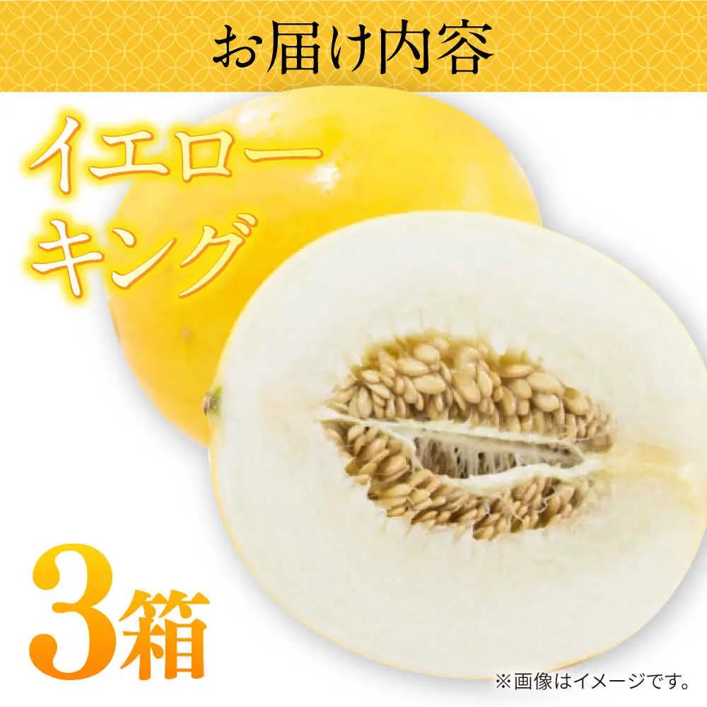 【2027年5月-発送】メロン イエローキング 3箱（1箱 3-6玉） / メロン めろん フルーツ 果物 / 南島原市 / 南島原果物屋[SCV041]
