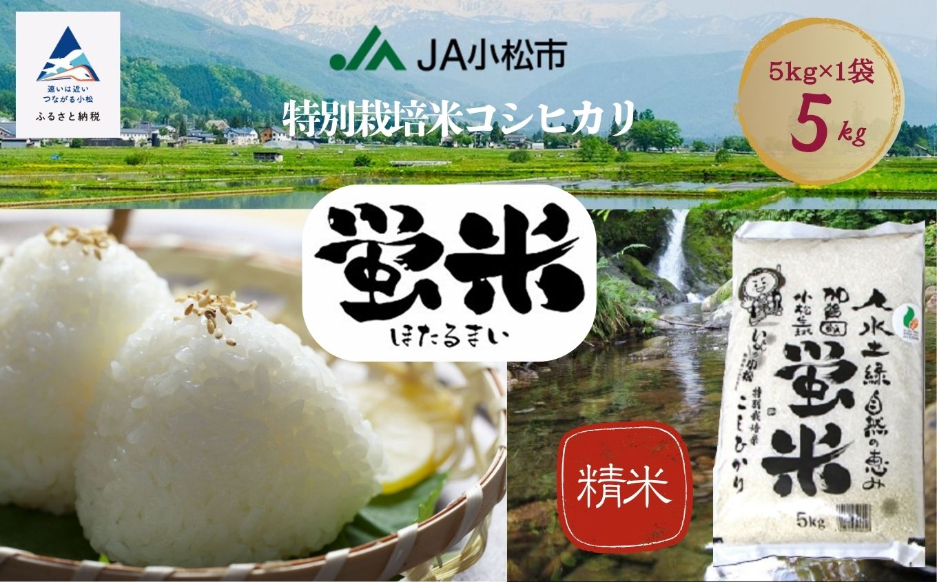 【先行予約】令和8年産【特別栽培米コシヒカリ】精米 蛍米 5kg 米 お米 | 石川県 小松市 JA小松市