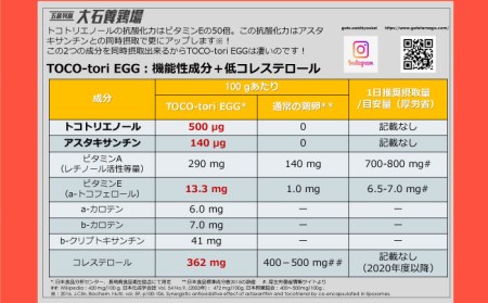 【黄身がつかめる！ブランド卵】TOCO-tori EGG おうち贅沢ボックス 卵 20個入 高級卵 たまご 五島市 / 五島列島大石養鶏場 [PFQ002] 卵 鶏卵 たまご タマゴ 玉子 卵 鶏卵 