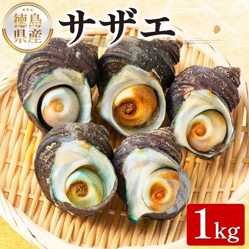 天然サザエ 1kg 【 サザエ 】