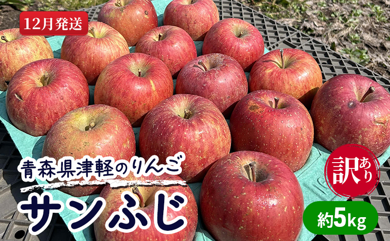 
【12月発送】【訳あり】青森県津軽のりんご「サンふじ」約5kg【里いちみfarm】
