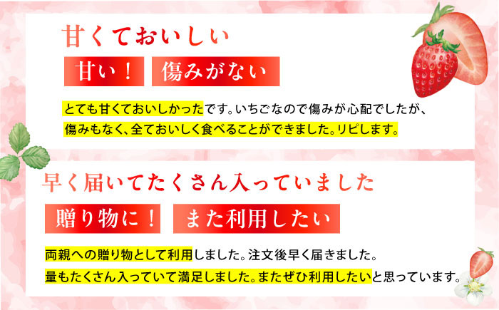 いちご イチゴ 苺 ゆめの香 大粒 果物 くだもの フルーツ