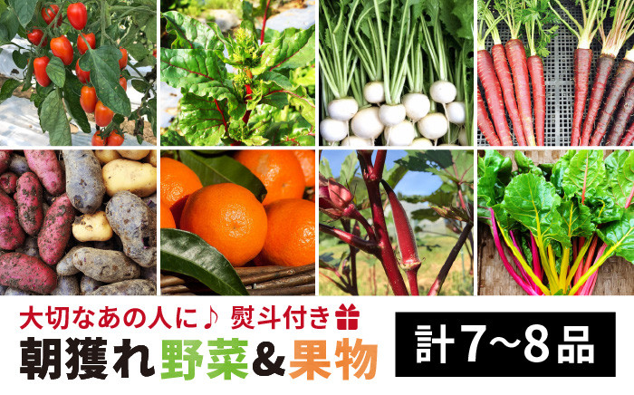
旬 野菜 + プレミアム 野菜 + 果物 ( 合計7～8品 ）セット【熨斗付き】《糸島》【オーガニックナガミツファーム】 [AGE022]
