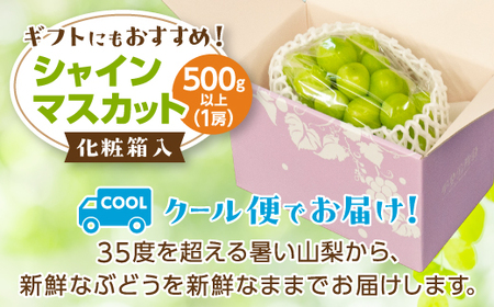 山梨市 シャインマスカット1房(500g以上) 化粧箱入り【配送不可地域：離島・沖縄県】【1505235】