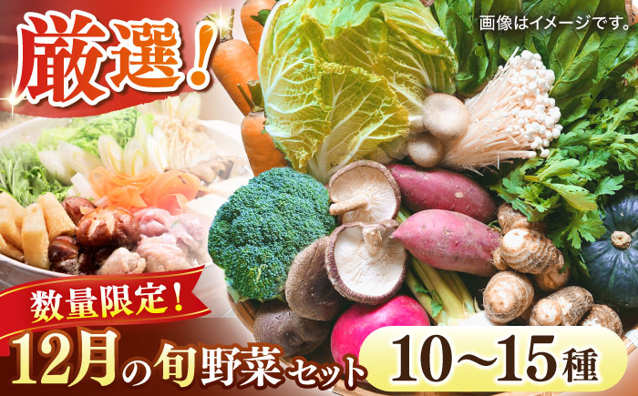 
【数量限定】厳選！旬を味わう高槻野菜おまかせ詰め合わせセット 12月（10種～15種）　大阪府高槻市/高槻あぐり[AOCS018] [AOCS018]
