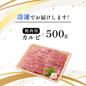 国産牛肉 京都姫牛 カルビ焼肉用 500g 【 冷凍 国産 牛肉 カルビ 焼き肉 BBQ 牛 和牛 お祝い 誕生日 記念日 お取り寄せ グルメ プレゼント 贈り物 贈答 ギフト 京都 綾部 】