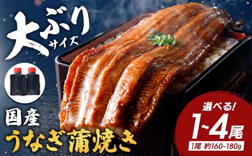 
                  うなぎ 蒲焼き たれ付き 1尾 / 2尾 / 4尾 選べる (1尾×約160g～180g) 【DSKU1】 国産 うなぎ 近江佃煮庵 遠久邑 鰻 ウナギ 冷凍
                