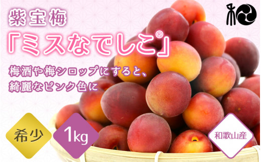 【2025年分先行予約】紫宝梅『ミスなでしこ®』【青梅：1kg】※2025年6月上中旬頃に順次発送予定【期間限定・先行予約・5/31まで】  / 田辺市 青梅 梅 紫宝梅 大梅 大玉 梅シロップ 梅酒【ngm009】