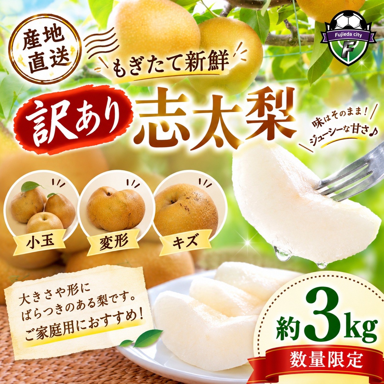 
                  【2026年8月以降出荷】訳あり 志太 梨 ３kg 小玉 変形 キズあり ご家庭用 静岡県産 果物 フルーツ 産地 直送 なし 藤枝産梨 静岡県 藤枝市
                