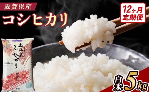 【令和8年産 新米】【定期便】近江米コシヒカリ 5kgx12回定期便（精米）