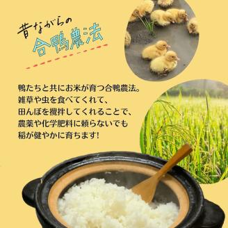 ＜３６９商店＞京都丹波産旬の野菜セットスペシャル！ 有機栽培米キヌヒカリ2kgと平飼い卵10個入り　※全て栽培期間中農薬・化学肥料不使用