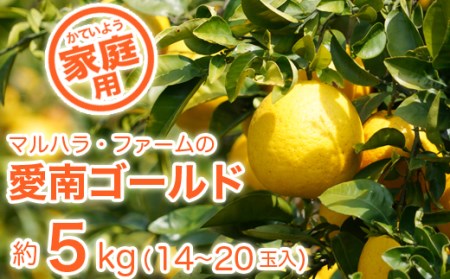 訳あり 家庭用 河内晩柑 5kg マルハラファーム 柑橘 果物 愛媛県産 みかん 河内晩柑  みかん 河内晩柑  みかん 河内晩柑  みかん 河内晩柑  みかん 河内晩柑  みかん  河内晩柑  みか