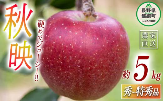 りんご 秋映 秀 〜 特秀 5kg 丸山りんご園 沖縄県への配送不可 2025年10月上旬頃から2025年10月下旬頃まで順次発送予定 令和7年度収穫分 信州 果物 フルーツ リンゴ 林檎 長野 14500円 予約 農家直送 長野県 飯綱町 [0706]