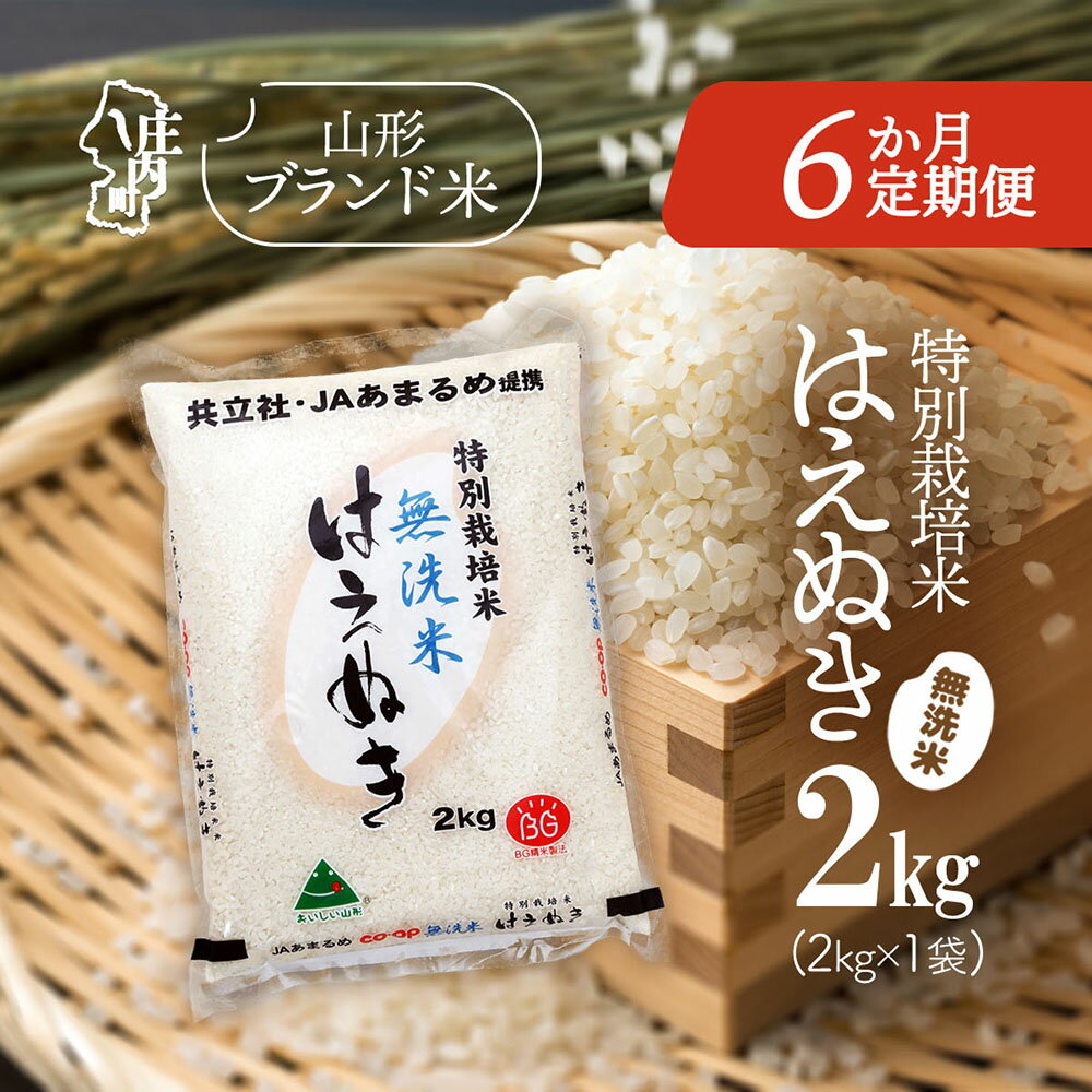 【ふるさと納税】【6か月定期便】庄内米 特別栽培米 はえぬき 無洗米 2kg 毎月 2kg×1袋 令和7年産 / 令和8年産 選べる配送開始月 ブランド米 米 山形 庄内平野 コシヒカリの原点、亀の尾発祥の地 庄内 お米の定期便 ふるさと納税 山形県【毎月中旬発送】